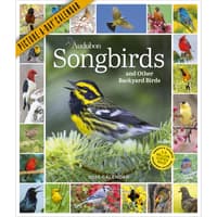 image Audubon 365 Songbirds 2026 Wall Calendar Main Image