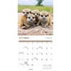 image Baby Animals 2025 Mini Wall Calendar Third Alternate Image width=&quot;1000&quot; height=&quot;1000&quot;