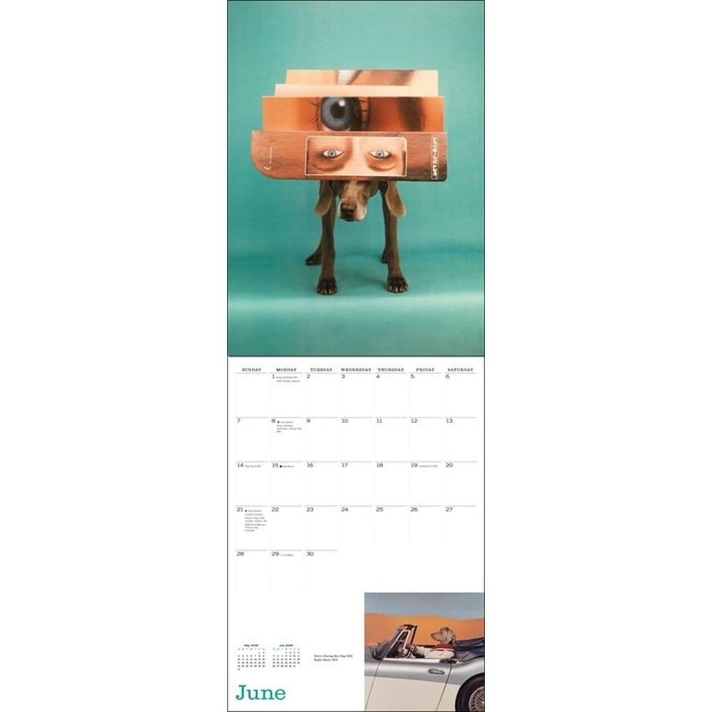 Mans Best Friend by William Wegman 2026 Wall Calendar Third Alternate image