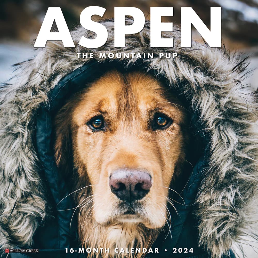 Aspen The Mountain Pup 2024 Wall Calendar Calendars Com   F764c7db 1f52 4ddd 9b22 E157a6539779