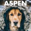 image Aspen The Mountain Pup 2024 Wall Calendar