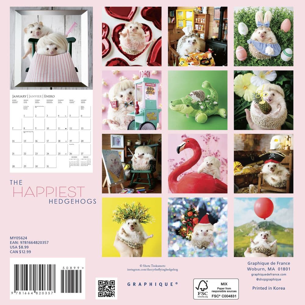 Happiest Hedgehogs 2024 Mini Wall Calendar First Alternate Image width=&quot;1000&quot; height=&quot;1000&quot;