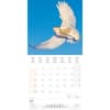 image Magic Owls 2024 Wall Calendar Second Alternate Image width=&quot;1000&quot; height=&quot;1000&quot;