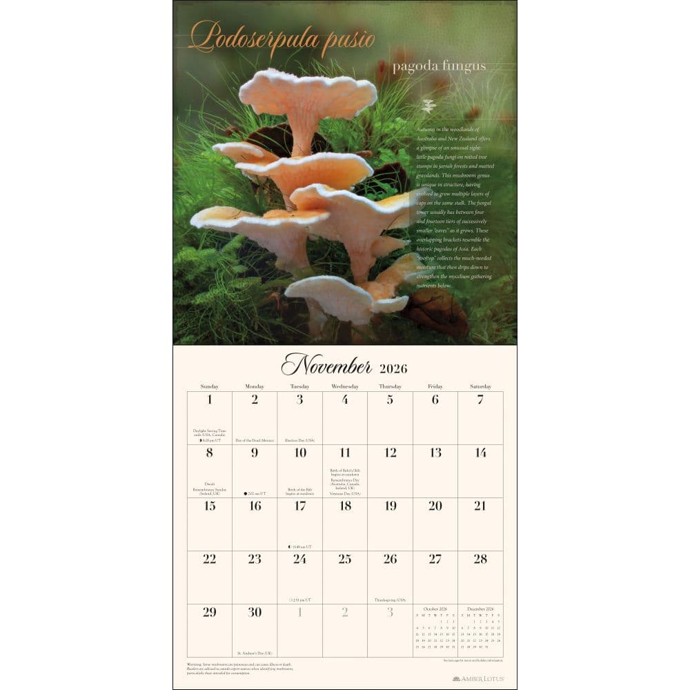 Miraculous Mushroom 2026 Wall Calendar Second Alternate Image