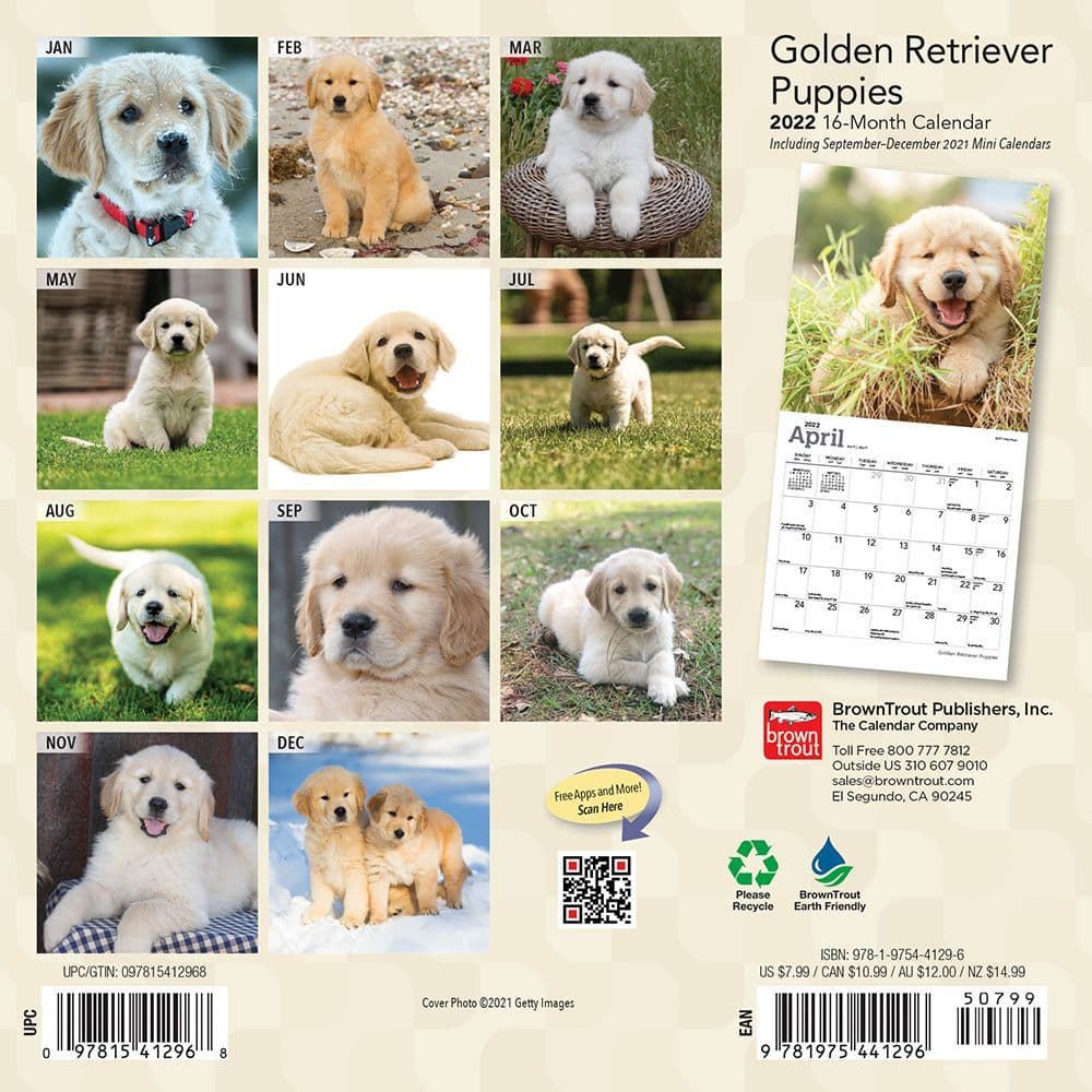 Golden Retriever 2020 SLIM Dog Calendar 15% OFF MULTI ORDERS! 
