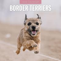 image Border Terriers 2026 Wall Calendar Main Image