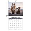 image All Mixed Up 2025 Wall Calendar Alt4