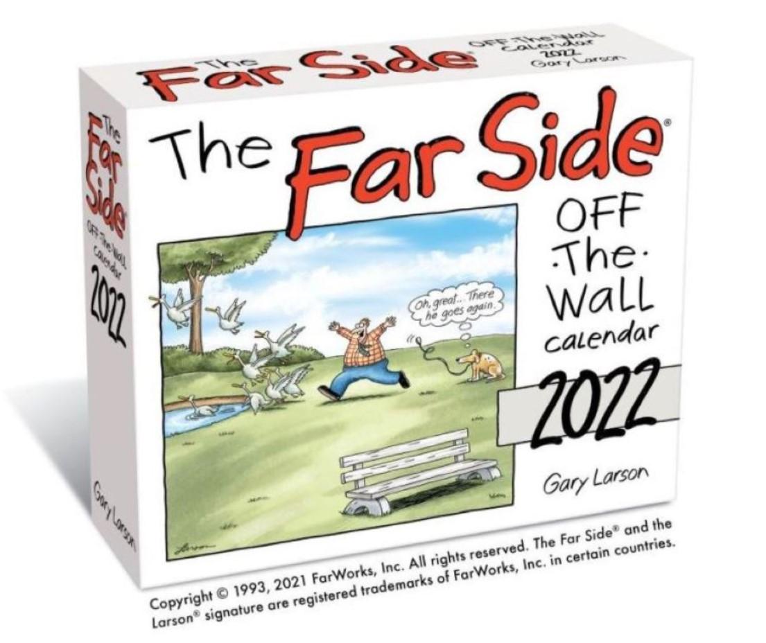 Far Side 2022 Day-to-Day Desk Calendar