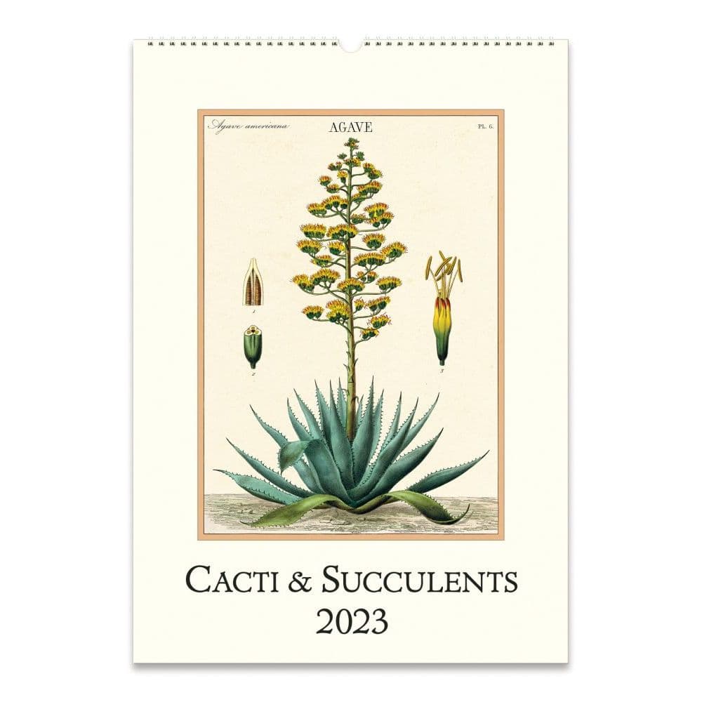 Succulent 2023 Poster Wall Calendar