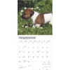 image Jack Russell Terrier Puppies 2025 Wall Calendar Third Alternate Image