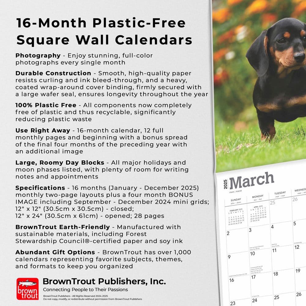 Dachshunds 2025 Wall Calendar Fifth  Alternate Image width=&quot;1000&quot; height=&quot;1000&quot;