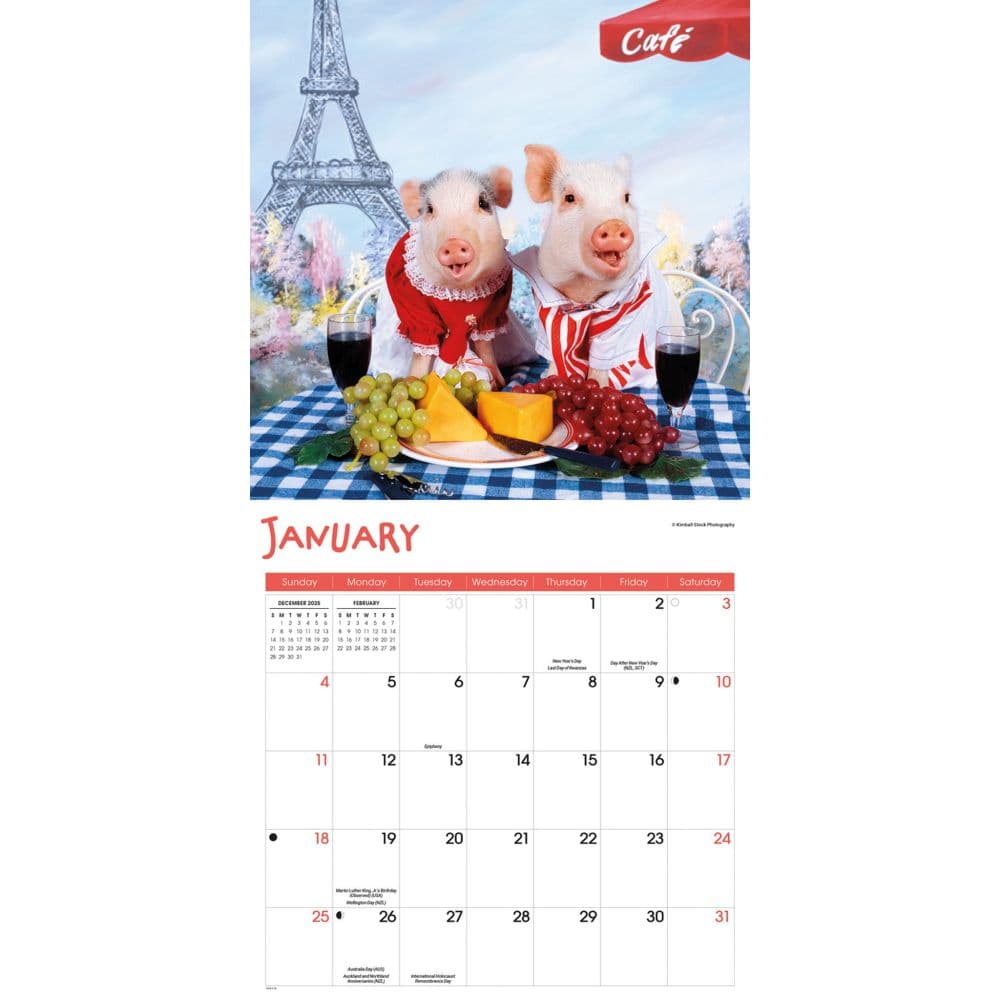 Pigs At Play 2026 Wall Calendar Second Alternate Image