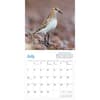 image Audubon Little Shorebirds 2024 Mini Wall Calendar Alternate Image 1