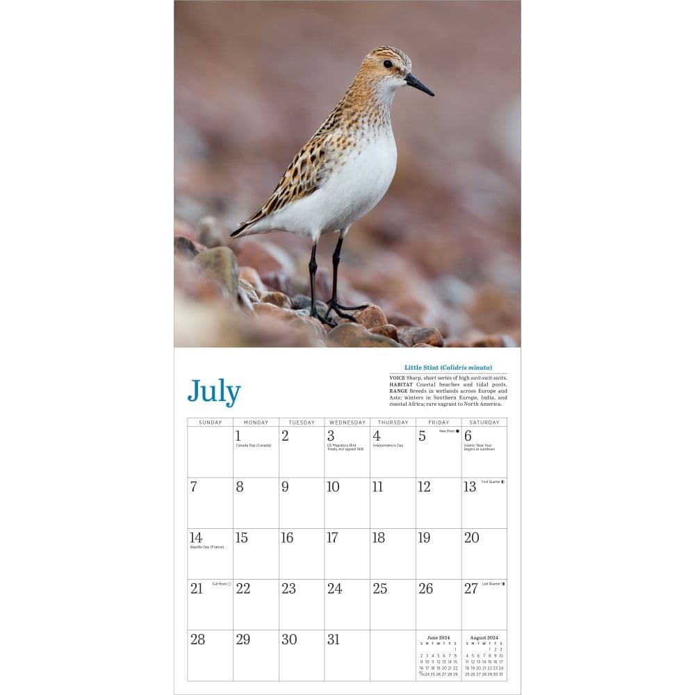 Audubon Little Shorebirds 2024 Mini Wall Calendar Alternate Image 1