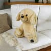 image Golden Lab 12 Inch Plush Fourth Alternate Image