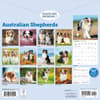 image Australian Shepherds 2026 Wall Calendar First Alternate Image