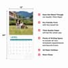 image Border Collies 2025 Wall Calendar Eighth Alternate Image