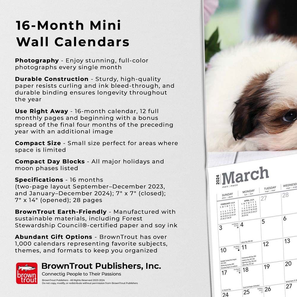 Shih Tzu Puppies 2024 Mini Wall Calendar