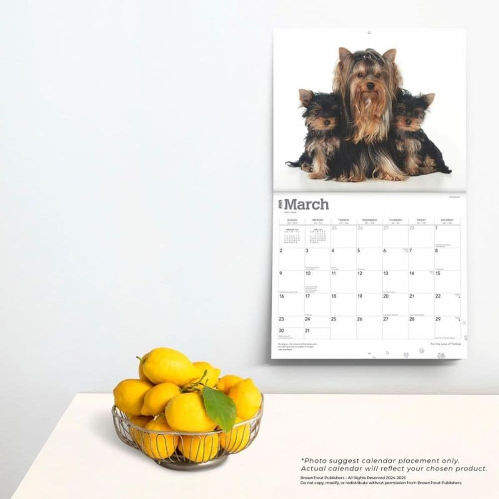 Yorkshire Terriers Deluxe 2025 Wall Calendar Fourth Alternate Image