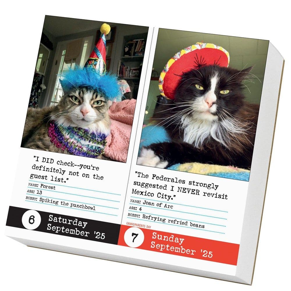 Bad Cat 2025 Desk Calendar First Alternate Image width=&quot;1000&quot; height=&quot;1000&quot;