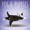image Yoga Puppies 2024 Wall Calendar Main Product Image width=&quot;1000&quot; height=&quot;1000&quot;