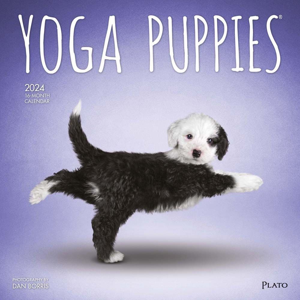 Yoga Puppies 2024 Wall Calendar Main Product Image width=&quot;1000&quot; height=&quot;1000&quot;