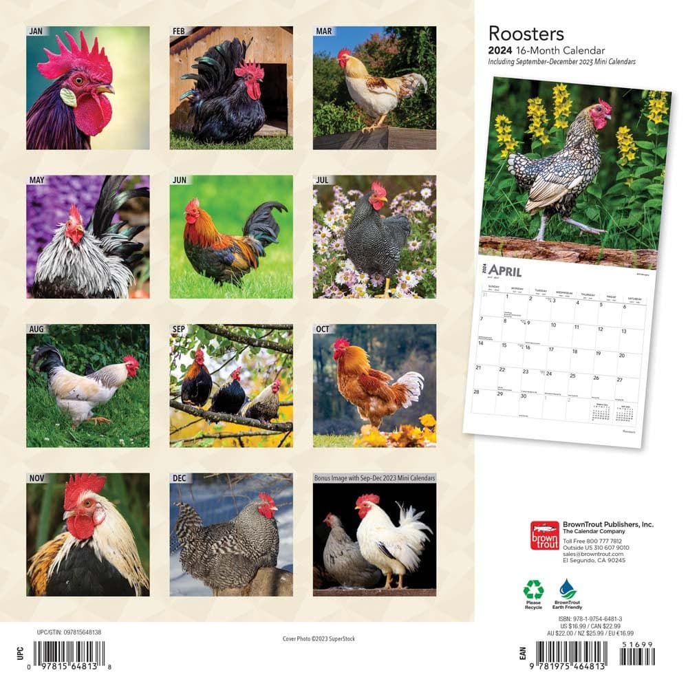 Roosters 2024 Wall Calendar