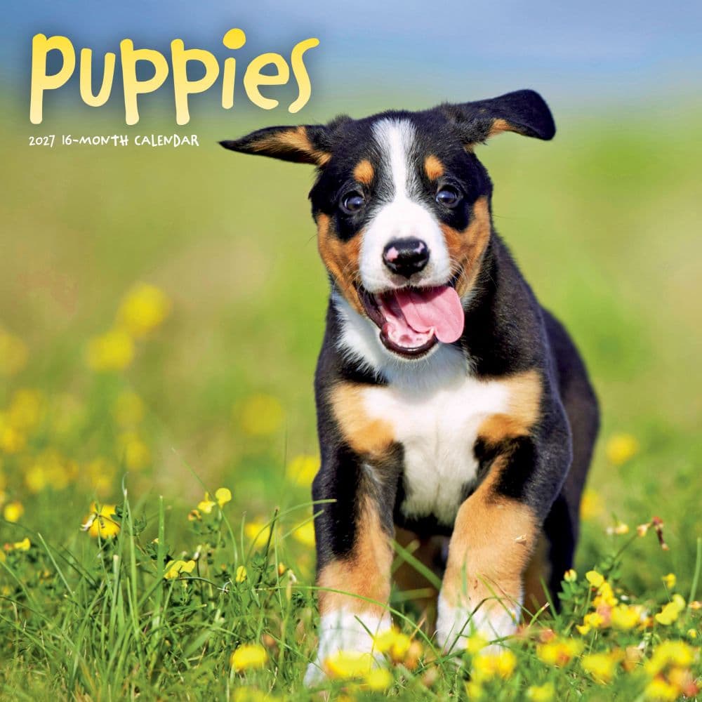 image Puppies 2027 Wall Calendar Main Product Image
