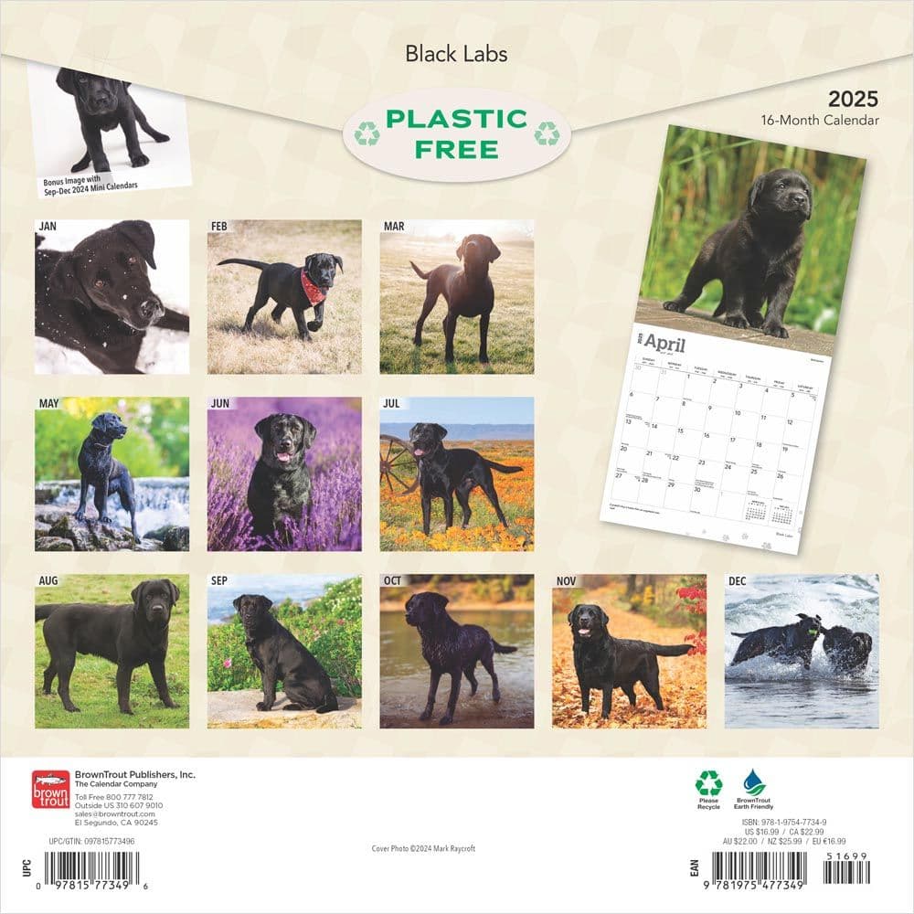 Black Lab Retriever 2025 Wall Calendar First Alternate Image width=&quot;1000&quot; height=&quot;1000&quot;