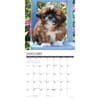 image Just Shih Tzu Puppies 2025 Wall Calendar