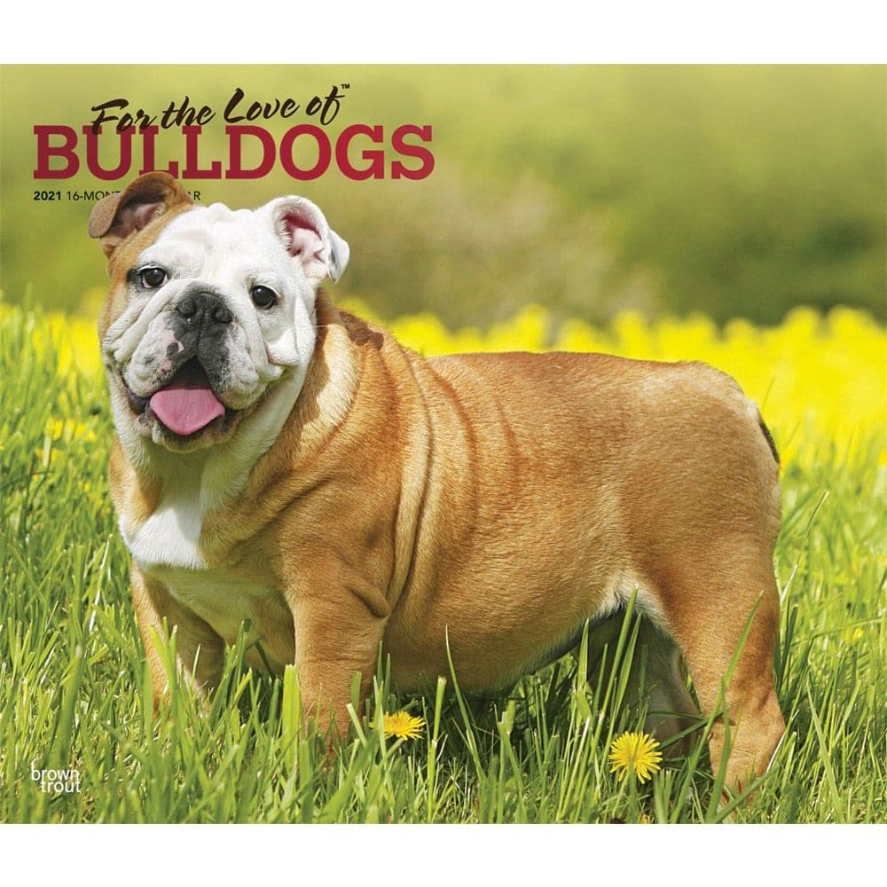 Bulldogs 2021 Calendar Dog Calendars com