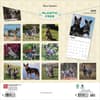 image Blue Heelers 2025 Wall Calendar