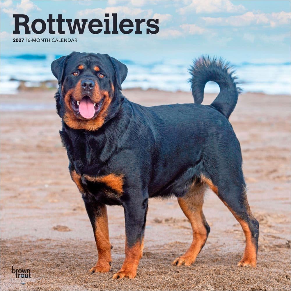 image Rottweilers 2027 Wall Calendar Main Product Image