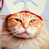 image Cat with Antlers Christmas Card  Fifth Alternate Image width=&quot;1000&quot; height=&quot;1000&quot;