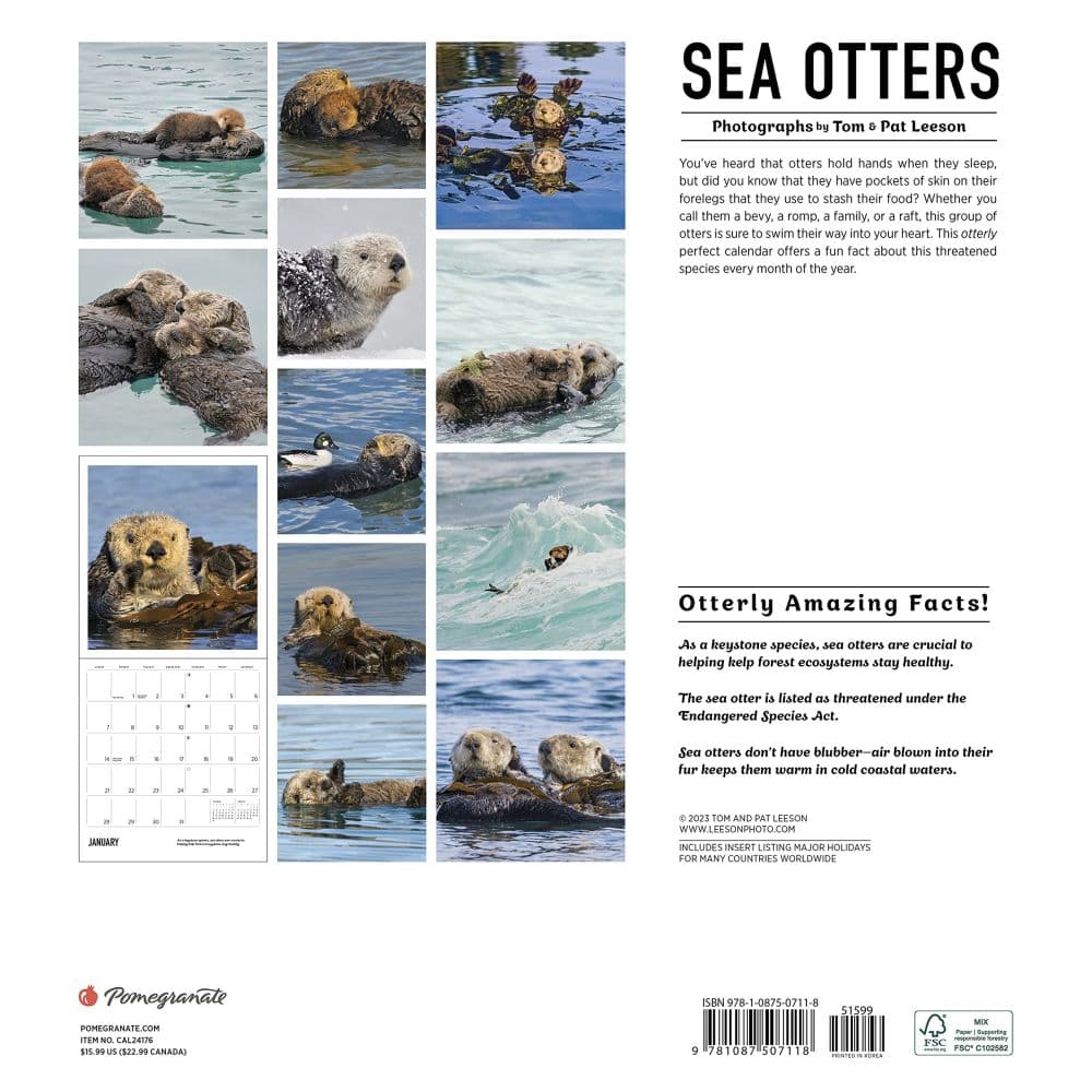 Sea Otters 2024 Wall Calendar