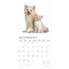 image Kittens And Puppies by Plato 2025 Wall Calendar