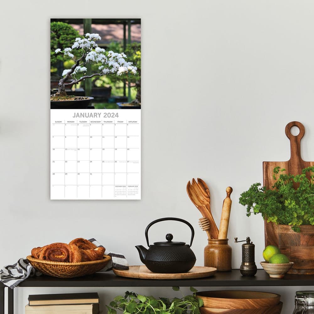 Bonsai 2024 Wall Calendar