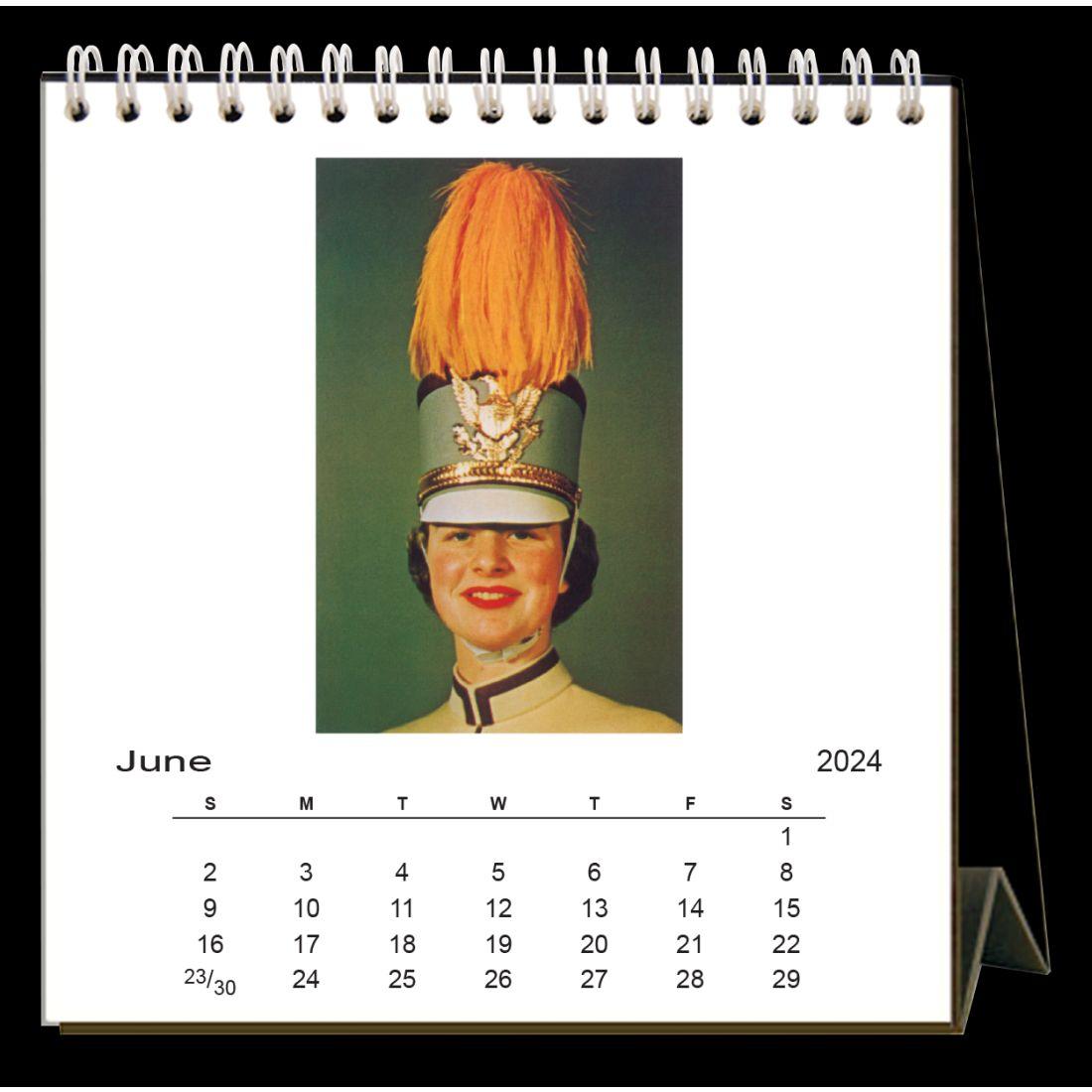 Just Plain Weird 2024 Easel Desk Calendar