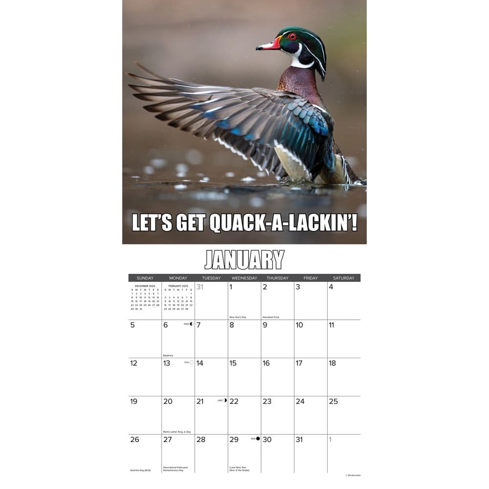 Wise Quacking 2025 Wall Calendar Second Alternate Image width="1000" height="1000"