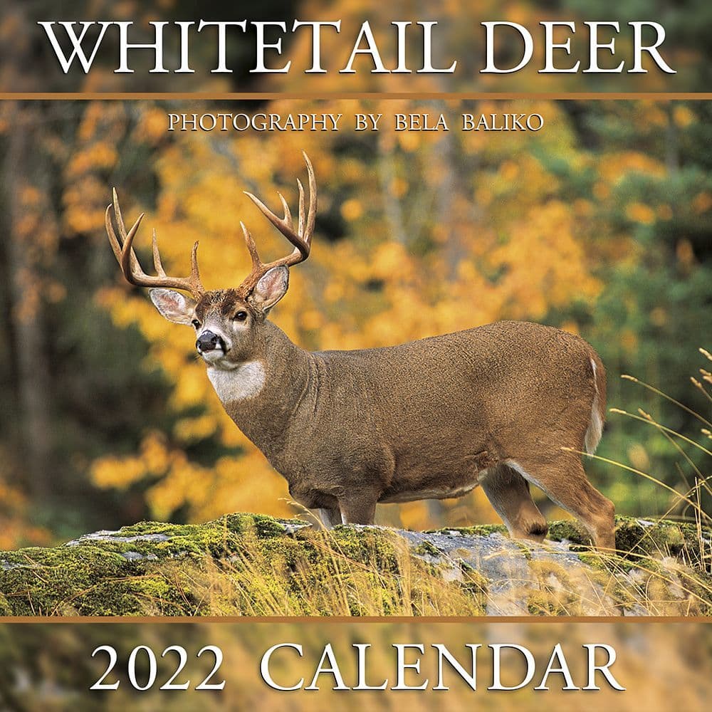 Deer 2022 Calendar, WhiteTailed Deer Calendars