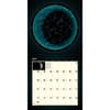 image Year in the Night Sky 2024 Wall Calendar Second Alternate Image width=&quot;1000&quot; height=&quot;1000&quot;