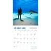 image Shark 2027 Mini Wall Calendar Second Alternate Image