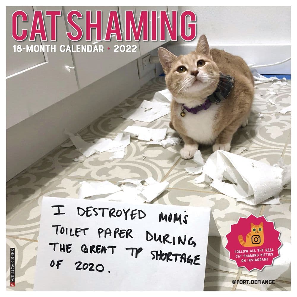 Cat Shaming 2022 Wall Calendar - Calendars.com