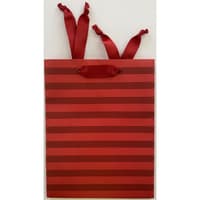 image Red Stripes Medium Gift Bag Main Product Image