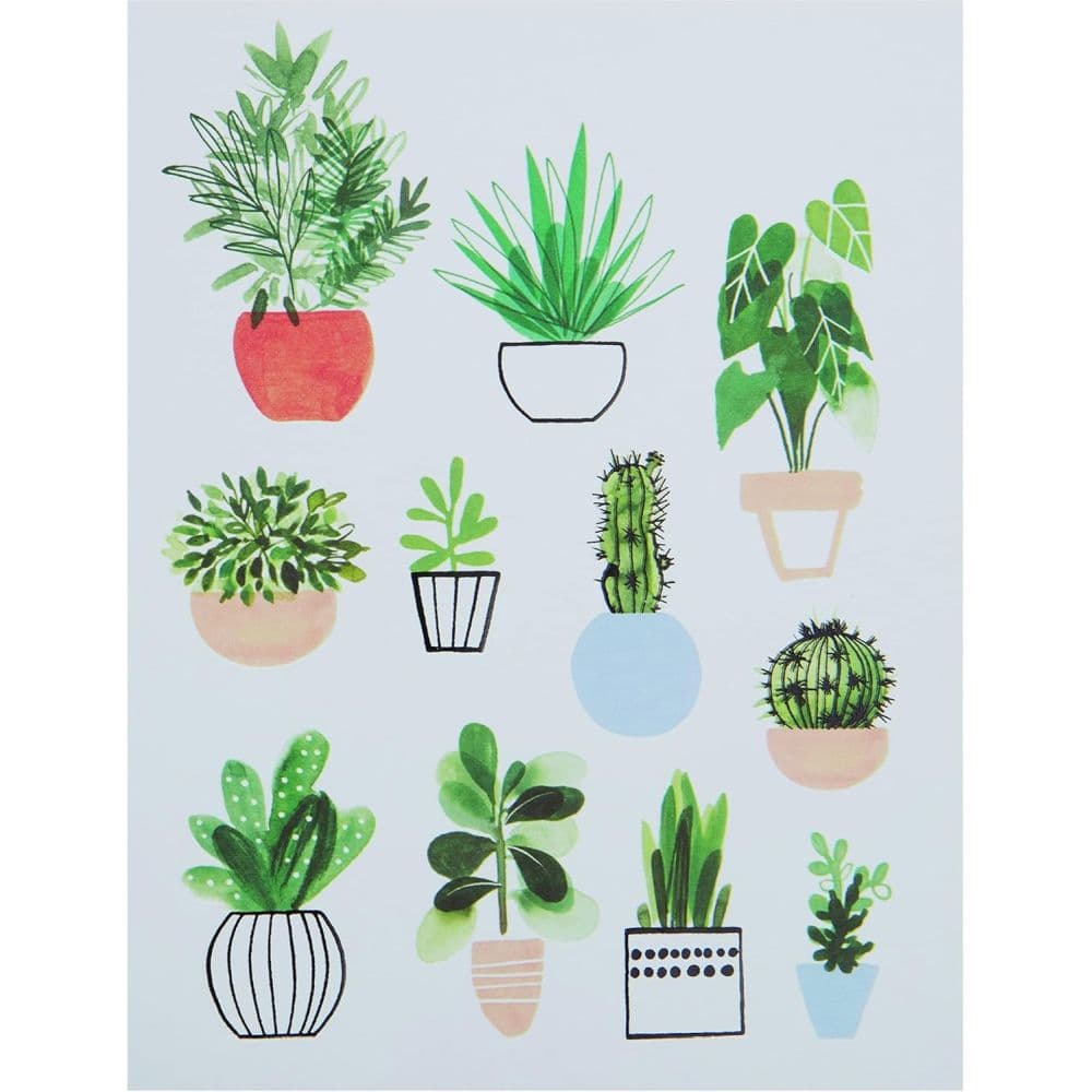 Potted Plants Boxed Note Cards Fourth Alternate Image