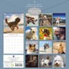 image Dogs in the Wind 2025 Wall Calendar First Alternate Image width=&quot;1000&quot; height=&quot;1000&quot;