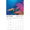 image Sea Turtles WWF 2026 Wall Calendar Fourth Alternate Image