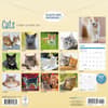 image Cats 2026 Wall Calendar First Alternate Image