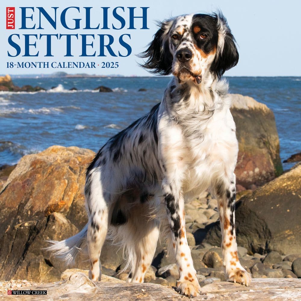 English Setters 2025 Wall Calendar Main Product Image width=&quot;1000&quot; height=&quot;1000&quot;