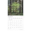 image Washington Wild and Scenic 2025 Wall Calendar First Alternate Image